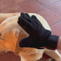 Brushing a Labrador with the PawGroom glove, then showing the loose fur it collected