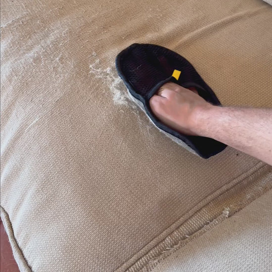 PawGroom furniture mitt clearing pet hair off a sofa cushion, then peeling the fur off the mitt