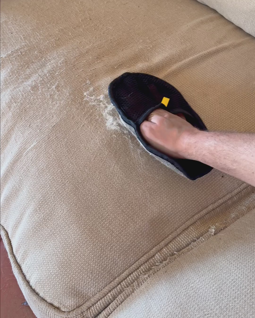 PawGroom furniture mitt clearing pet hair off a sofa cushion, then peeling the fur off the mitt