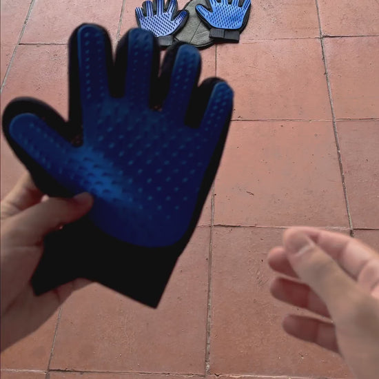 Putting on the PawGroom grooming gloves and fastening the wrist strap