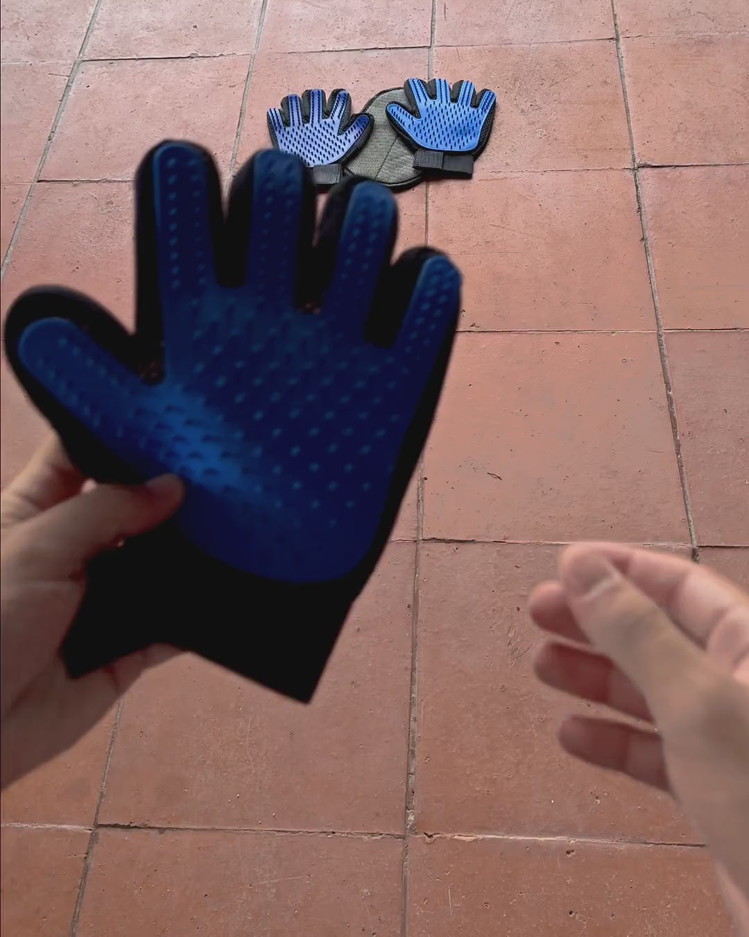 Putting on the PawGroom grooming gloves and fastening the wrist strap